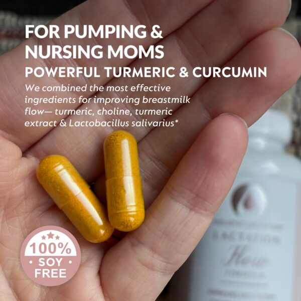 Etiqueta de Fórmula de Flujo de Lactancia Holistic Lactation