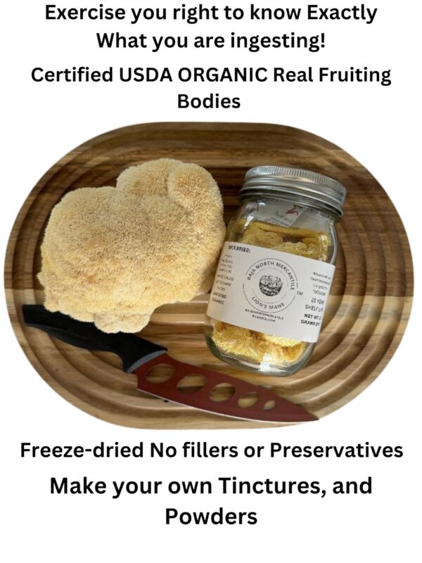 Version 1.0.0 Cuerpos fructíferos de hongo Melena de León secos y liofilizados