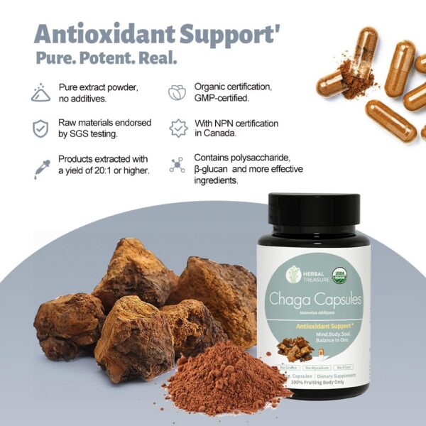 Etiqueta frontal cápsulas de hongos chaga WL Herbal Treasure