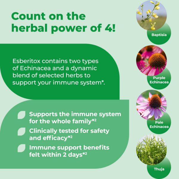 Herbal suplemento para apoyar inmunidad con echinacea purpura