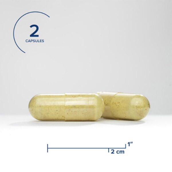 Version 1.0.0 Etiqueta frontal suplemento HistaminX para respuestas saludables