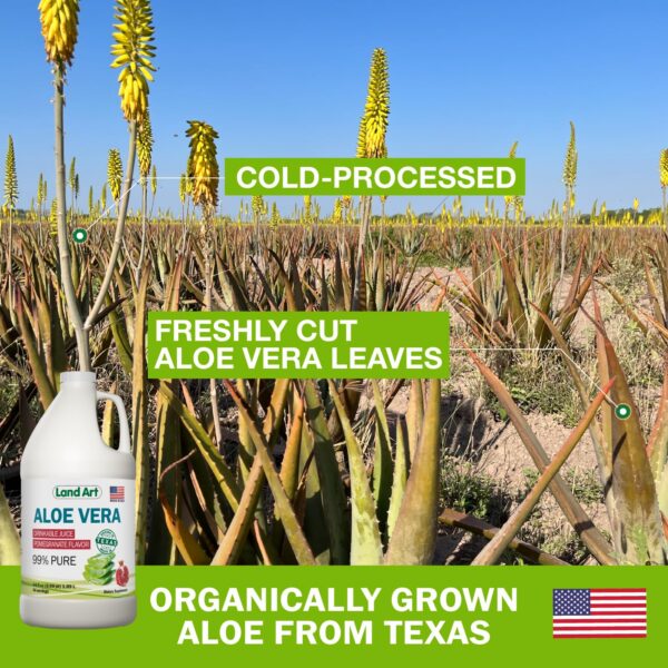 Version 1.0.0 Vista superior botella jugo Aloe Vera Land Art sabor granada