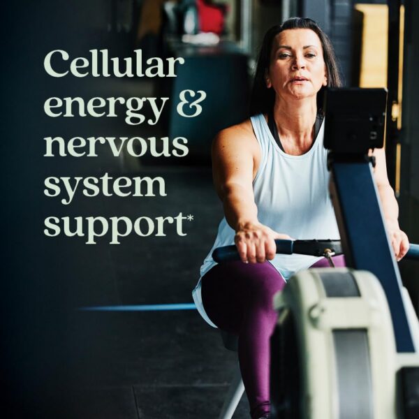 Etiqueta frontal New Chapter multivitaminas energía y estrés