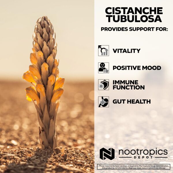 Etiqueta frontal suplemento Cistanche tubulosa 200mg