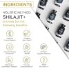 Etiqueta frontal Shilajit Holistic Method cápsulas energía y salud