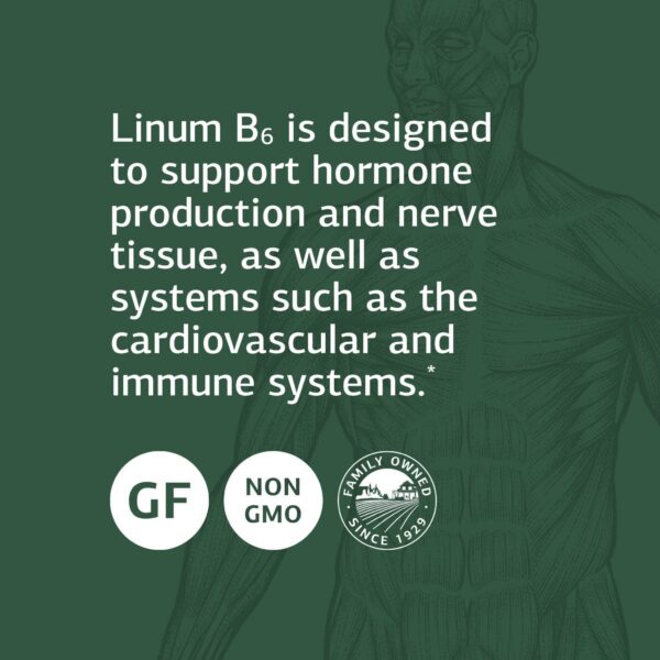 Etiqueta frontal Standard Process Linum B6 120 softgels