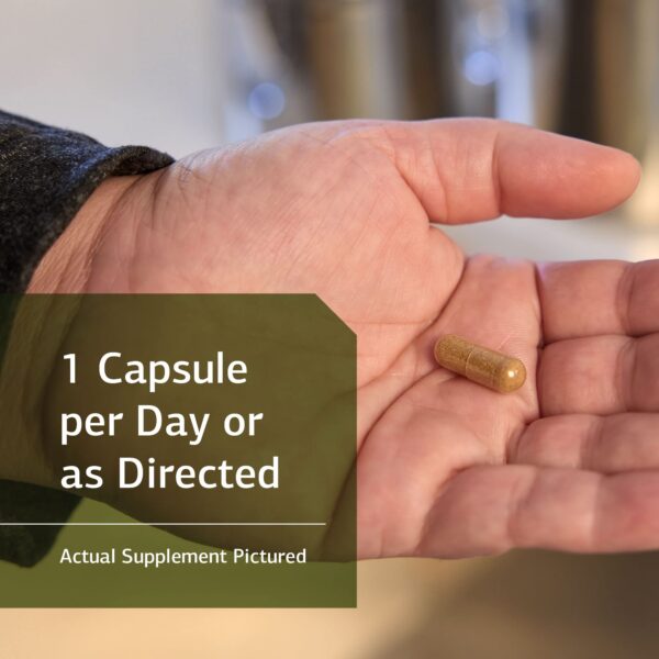 Etiqueta frontal Standard Process Niacinamida B6