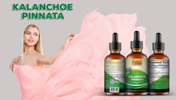 Etiqueta frontal suplemento antioxidante Kalanchoe Ozengluz