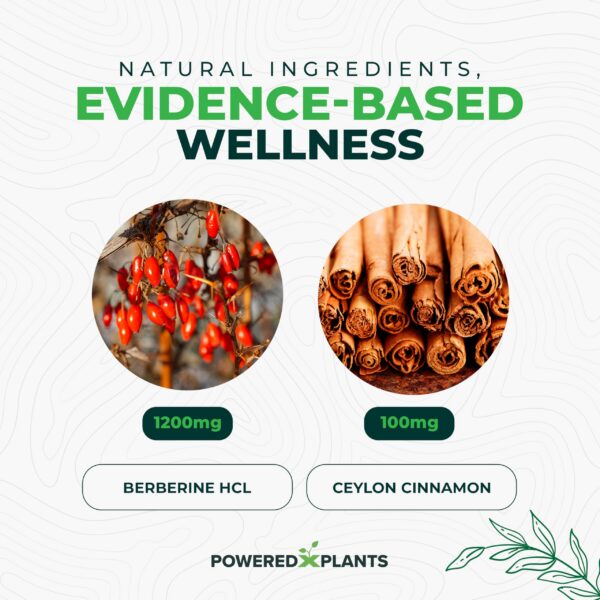 Etiqueta frontal suplento de berberina y canela Powered X Plants
