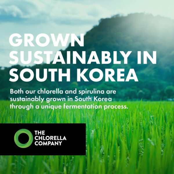 Version 1.0.0 Etiqueta frontal de suplemento de chlorella fermentada 1350 tabletas