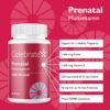 Version 1.0.0 Etiqueta frontal suplemento prenatal Celebrate Vitamins