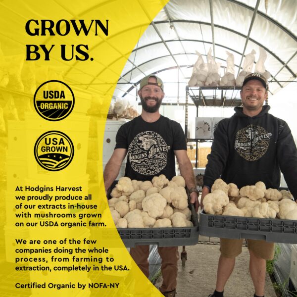 Frasco tintura extracto dual Reishi hongos orgánicos Hodgins Harvest