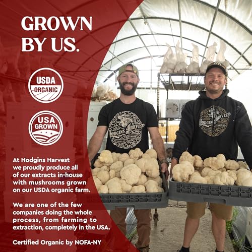 Version 1.0.0 Etiqueta frontal de tintura de hongos Hodgins Harvest