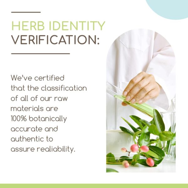 Version 1.0.0 Etiqueta HerbEra Motherwort suplemento herbal natural