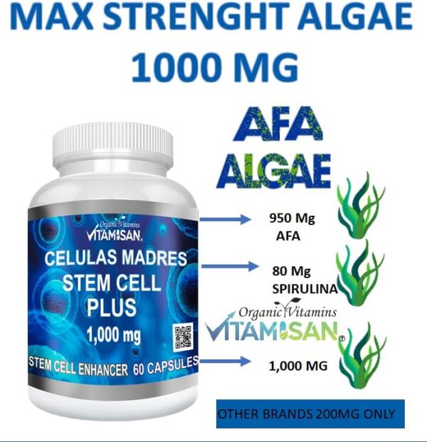 Etiqueta frontal Vitamisan células madre