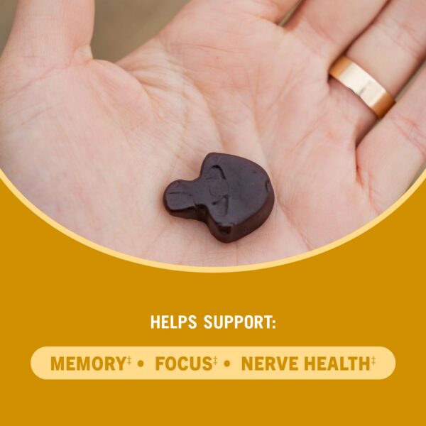 Version 1.0.0 Etiqueta de gomitas superalimento Melena de León OM Mushroom