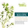 Etiqueta Gotas Bacopa Heavenly Herbals mejora concentración y foco