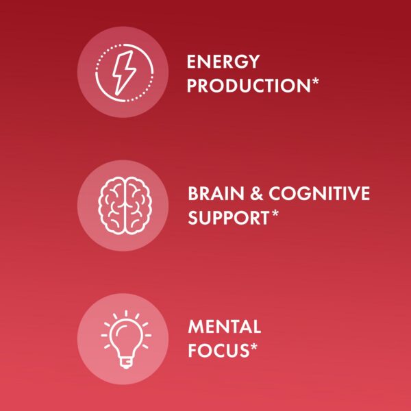 Version 1.0.0 Etiqueta con información nutricional del spray energía Metil B12