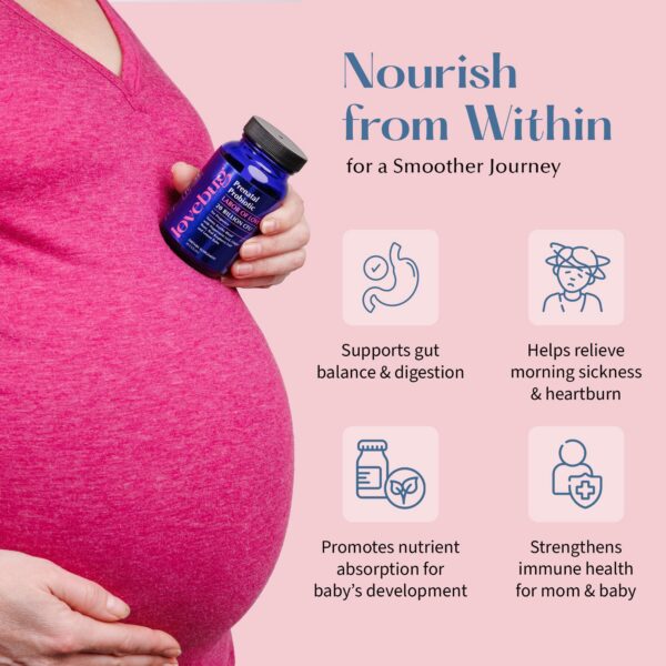 Etiqueta con ingredientes y beneficios probióticos lovebug