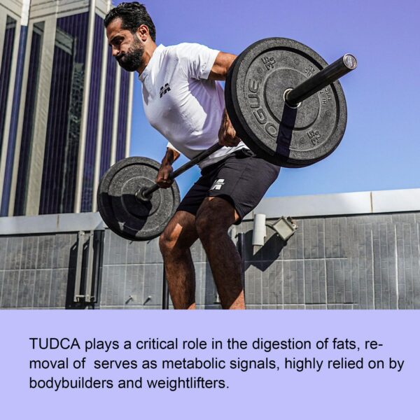 Version 1.0.0 Etiqueta ingredientes gomas tudca y cardo mariano Well&Whole