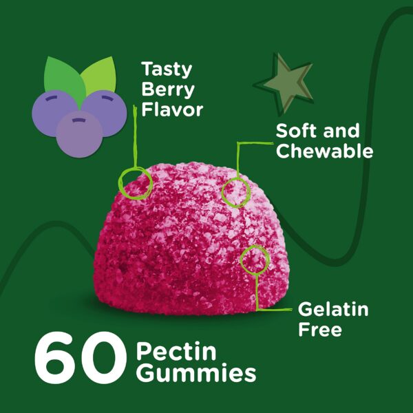 Version 1.0.0 Etiqueta de ingredientes de las gomitas de zinc