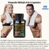 Etiqueta con ingredientes PINNACLE SHILAJIT cápsulas adaptógenos