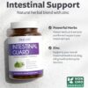 Etiqueta Intestinal Guard fórmula herbal potente para intestinos