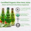 Version 1.0.0 Etiqueta jugo saludable de aloe vera orgánico JUAL
