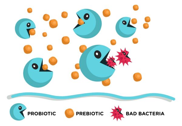 Caja blíster Lean & Pure 30 tabletas prebiótico probiótico