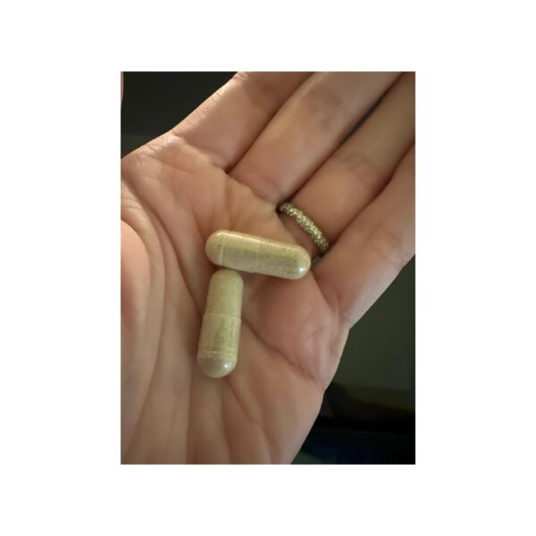 Version 1.0.0 Producto para apoyar circulación sanguínea en piernas y venas