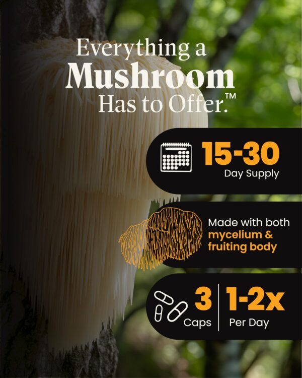 Etiqueta de Mezcla de Melena de León con Reishi Mushroom Wellness