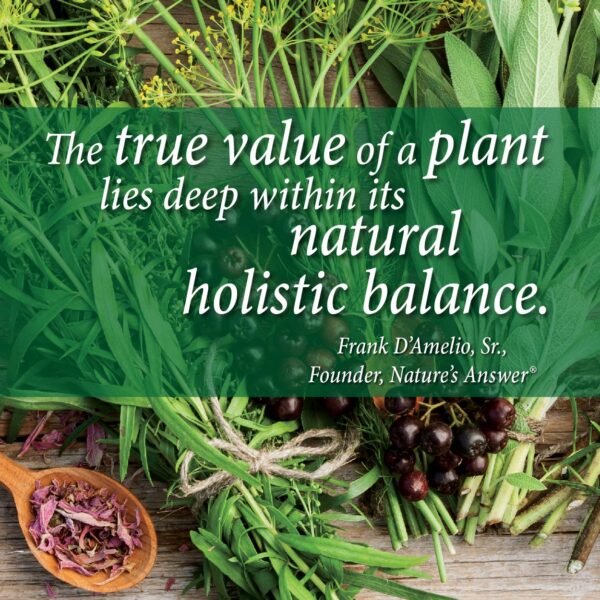 Frasco extracto cúrcuma Nature's Answer Turmeric-3