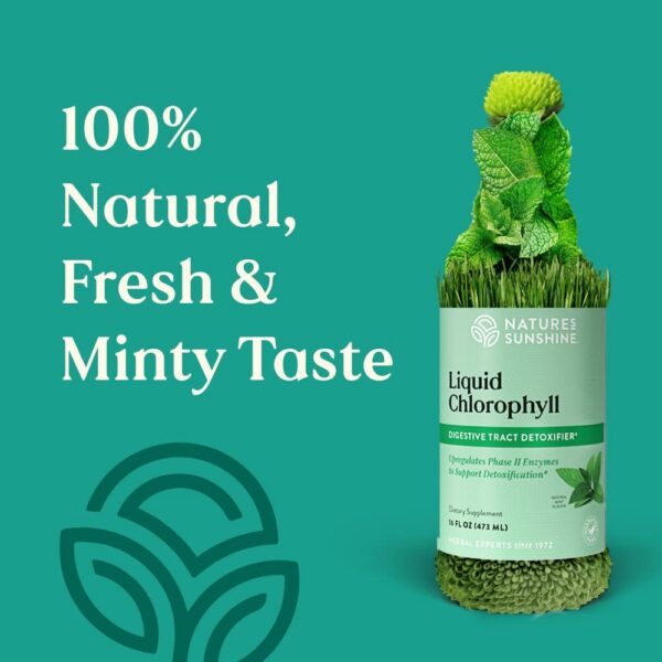 Version 1.0.0 Etiqueta Nature's Sunshine clorofila líquida natural 16 oz