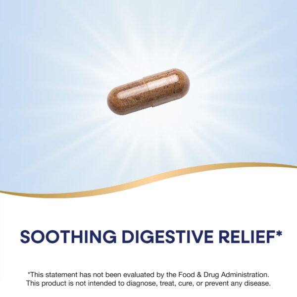 Etiqueta Nature's Way DGL Ultra extracto regaliz botella