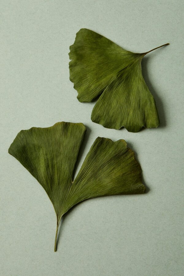 Etiqueta posterior cápsulas Ginkgo Biloba Illuminate Labs