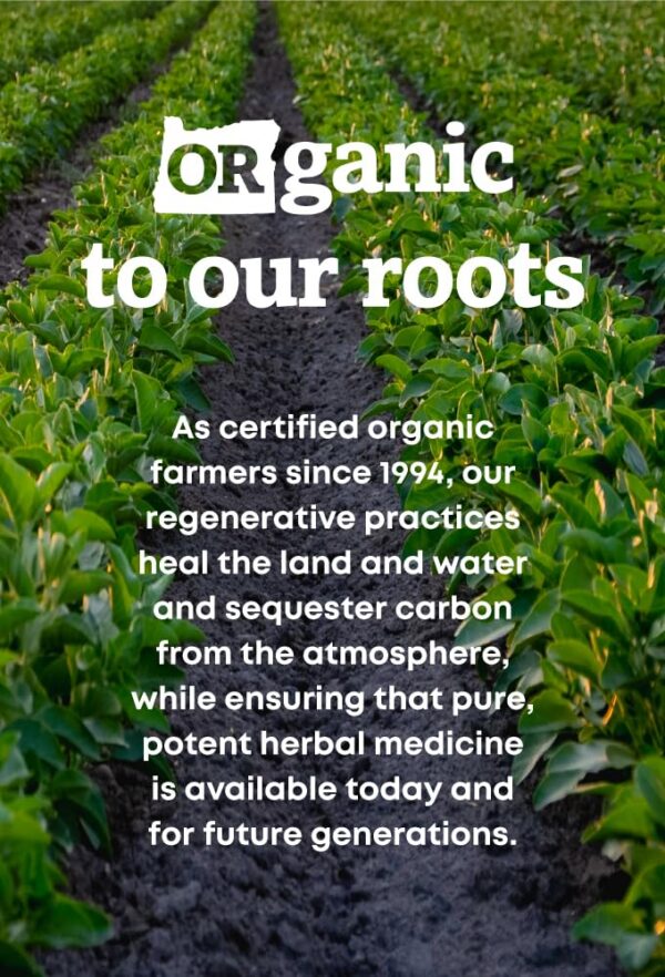 Version 1.0.0 Suplemento orgánico con Pygeum y Saw Palmetto para bienestar prostático