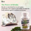 Etiqueta-producto-chaga-sayan-antioxidante