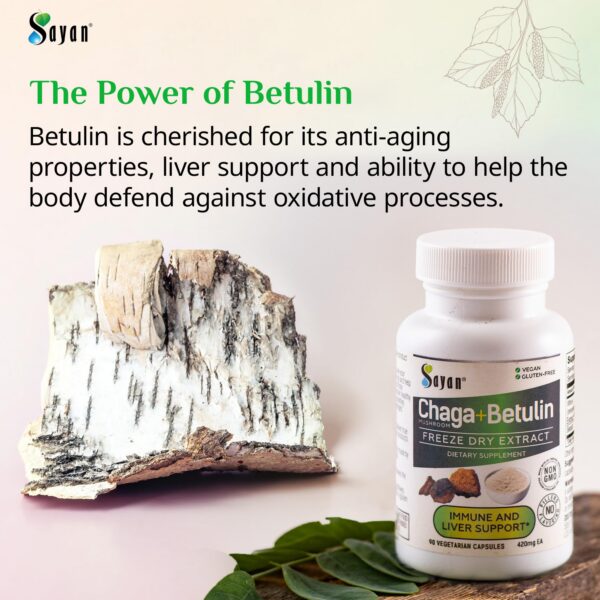 Etiqueta-producto-chaga-sayan-antioxidante