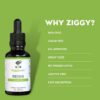 Etiqueta producto extracto de reishi Ziggy Health 1 oz