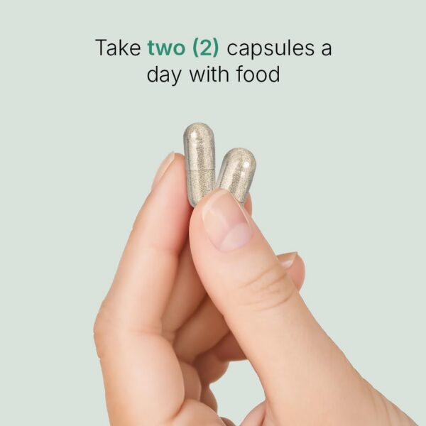 Etiqueta producto Santo Remedio nopal chía sin azúcar