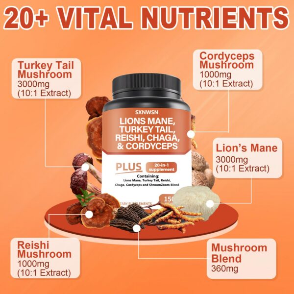 Etiqueta del producto SXNWSN complejo de melena de león y hongos