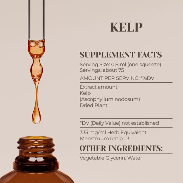 Etiqueta de producto tintura natural de kelp para salud
