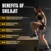 Version 1.0.0 Etiqueta del producto Shilajit Himalayo