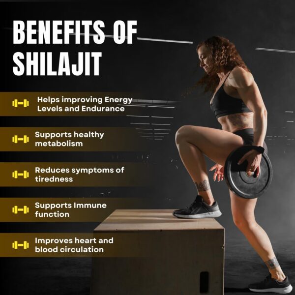 Version 1.0.0 Etiqueta del producto Shilajit Himalayo