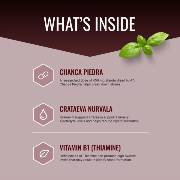 Etiqueta de Stonexyl suplemento renal con chanca piedra