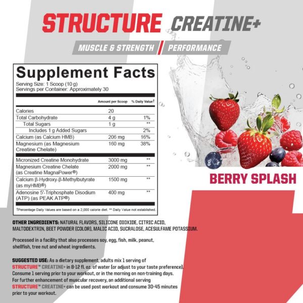 Etiqueta Berry Splash de STRUCTURE CREATINE+
