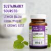 Etiqueta suplementaria Lemon Balm Force hoja pura