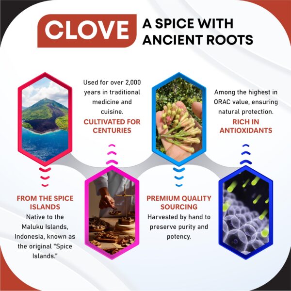 Etiqueta frontal suplemento clavos y especias para digestión y respiración