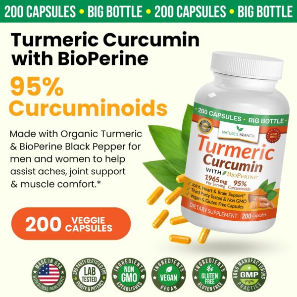 Etiqueta suplemento cúrcuma curcumina alta potencia Nature's Branch