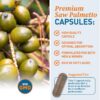 Etiqueta trasera suplemento Dr. Tobias Saw Palmetto 500mg